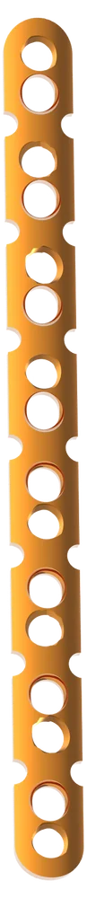 Placa de Reconstrução - Grandes Fragmentos