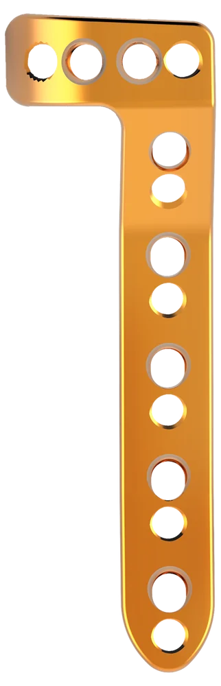 Placa em L Bloqueada - Grandes Fragmentos