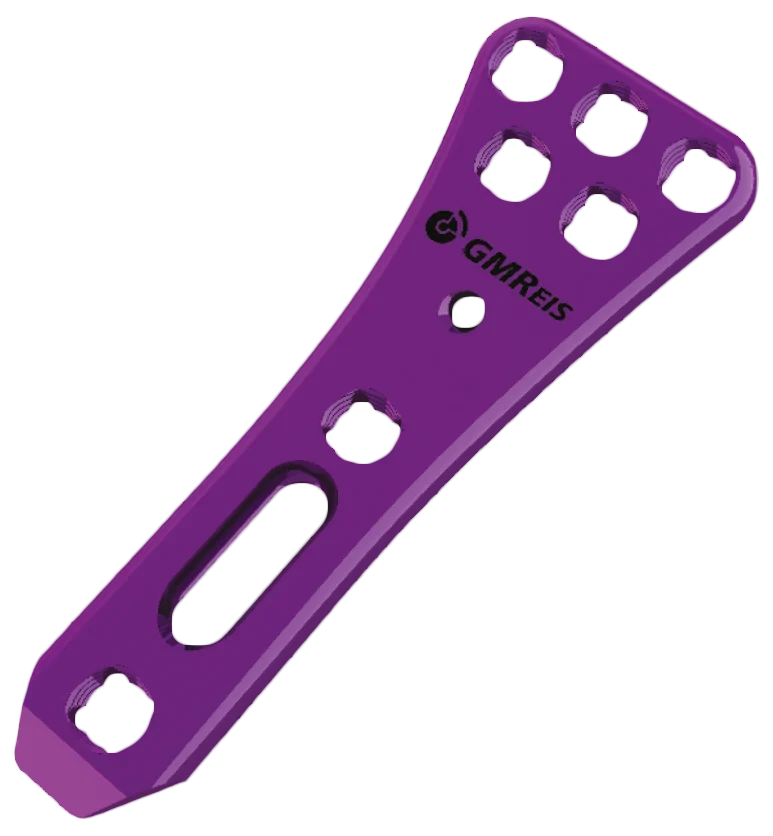 Placa Versalock® MIS Volar