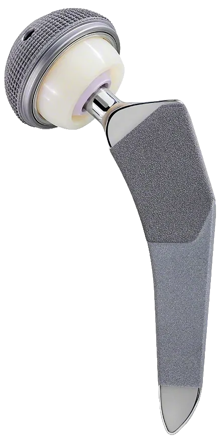 Conjunto articulado sobre o cone femoral